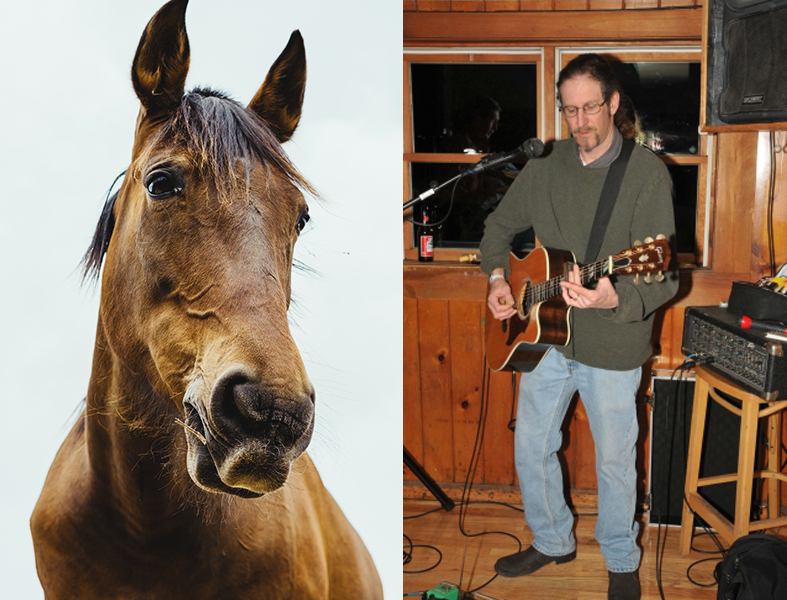 Get ready to be serenaded by East End musician Todd Grossman or hang with horses at Spirit's Promise on the North Fork
