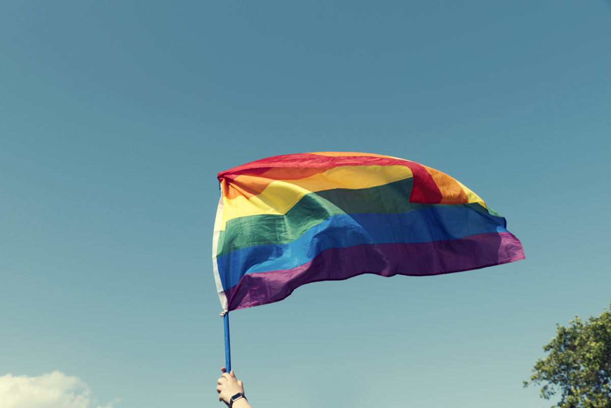 Students protested Don't Say Gay with rainbow flags in hand