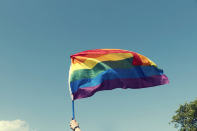 Students protested Don't Say Gay with rainbow flags in hand