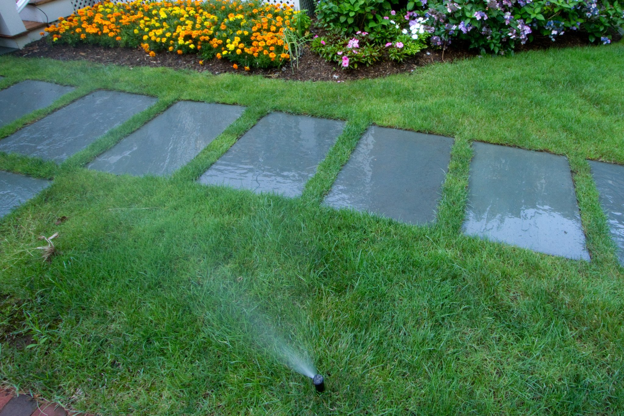 RB Irrigation sprinklers in East Hampton