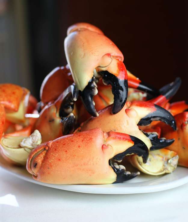 Stone crabs from NY Prime