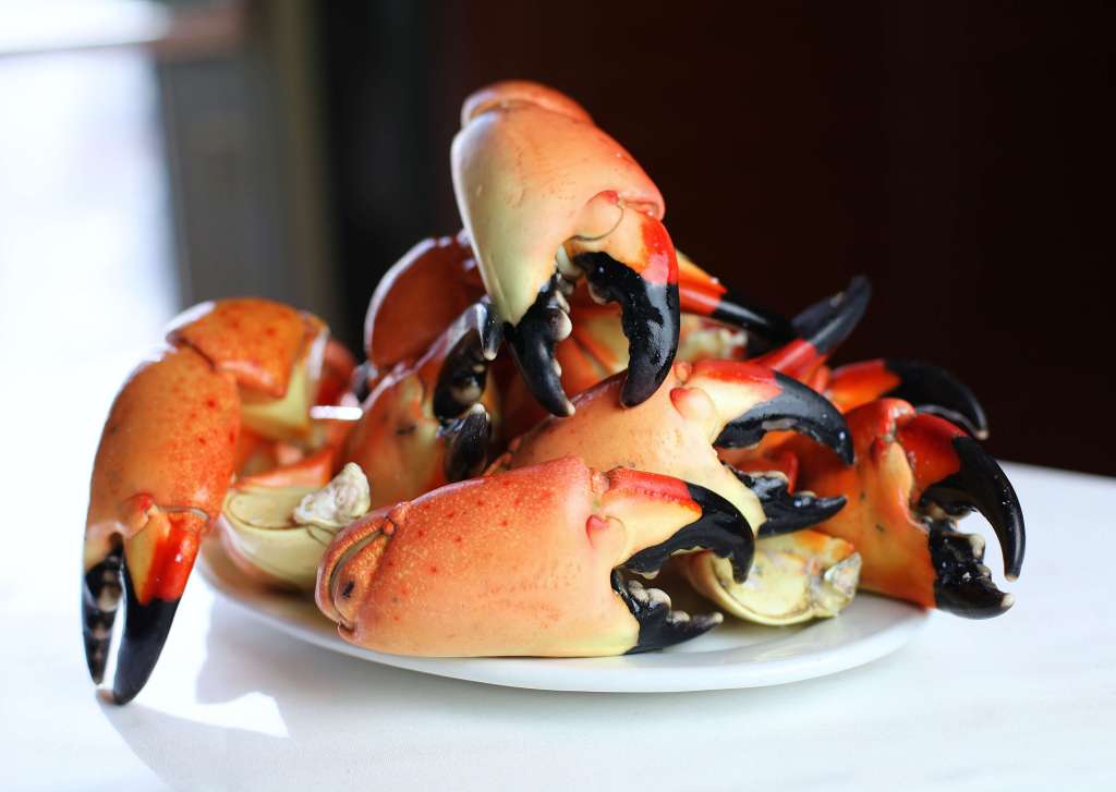 Stone crabs from NY Prime