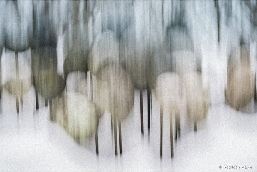 Kathleen Massi, "Rooted in Memory" on view in Arborescent III at Alex Ferrone Gallery