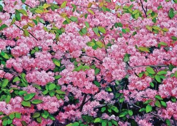 May 30, 2025 Dan's Papers cover art by David Peikon, Courtesy Art Studio Hamptons Gallery 