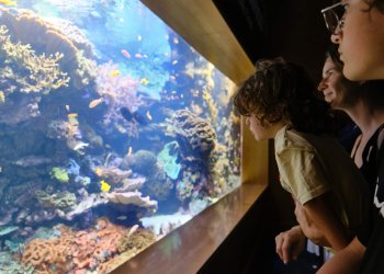 It's never a bad idea to spend a weekend with your kids at the Long Island Aquarium.