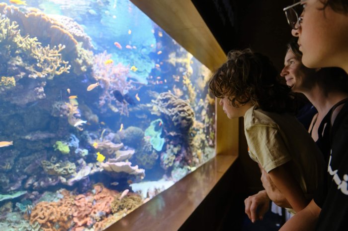 It's never a bad idea to spend a weekend with your kids at the Long Island Aquarium.