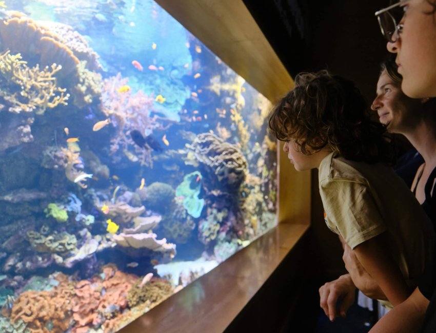 It's never a bad idea to spend a weekend with your kids at the Long Island Aquarium.