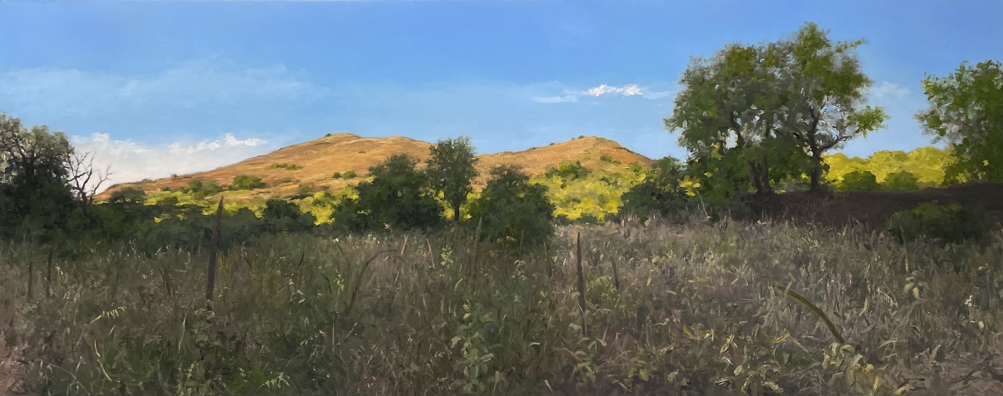David Peikon “La Passeggiata Fino a Monte Mojo” 16 x 40 oil on linen ( Malvagna, Sicily), Courtesy Art Studio Hamptons