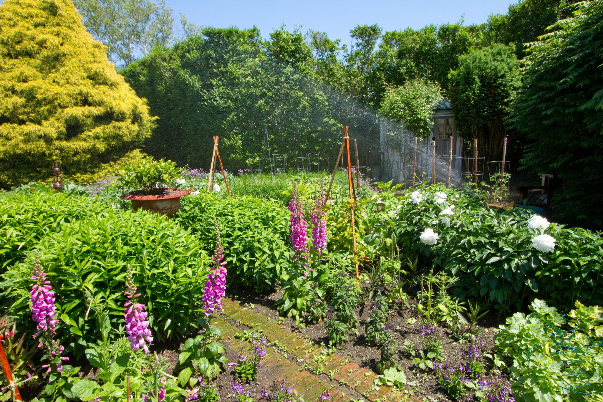 RB Irrigation will protect your property from extreme heat