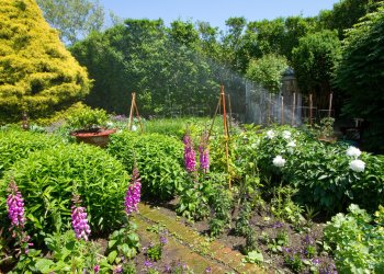 RB Irrigation will protect your property from extreme heat