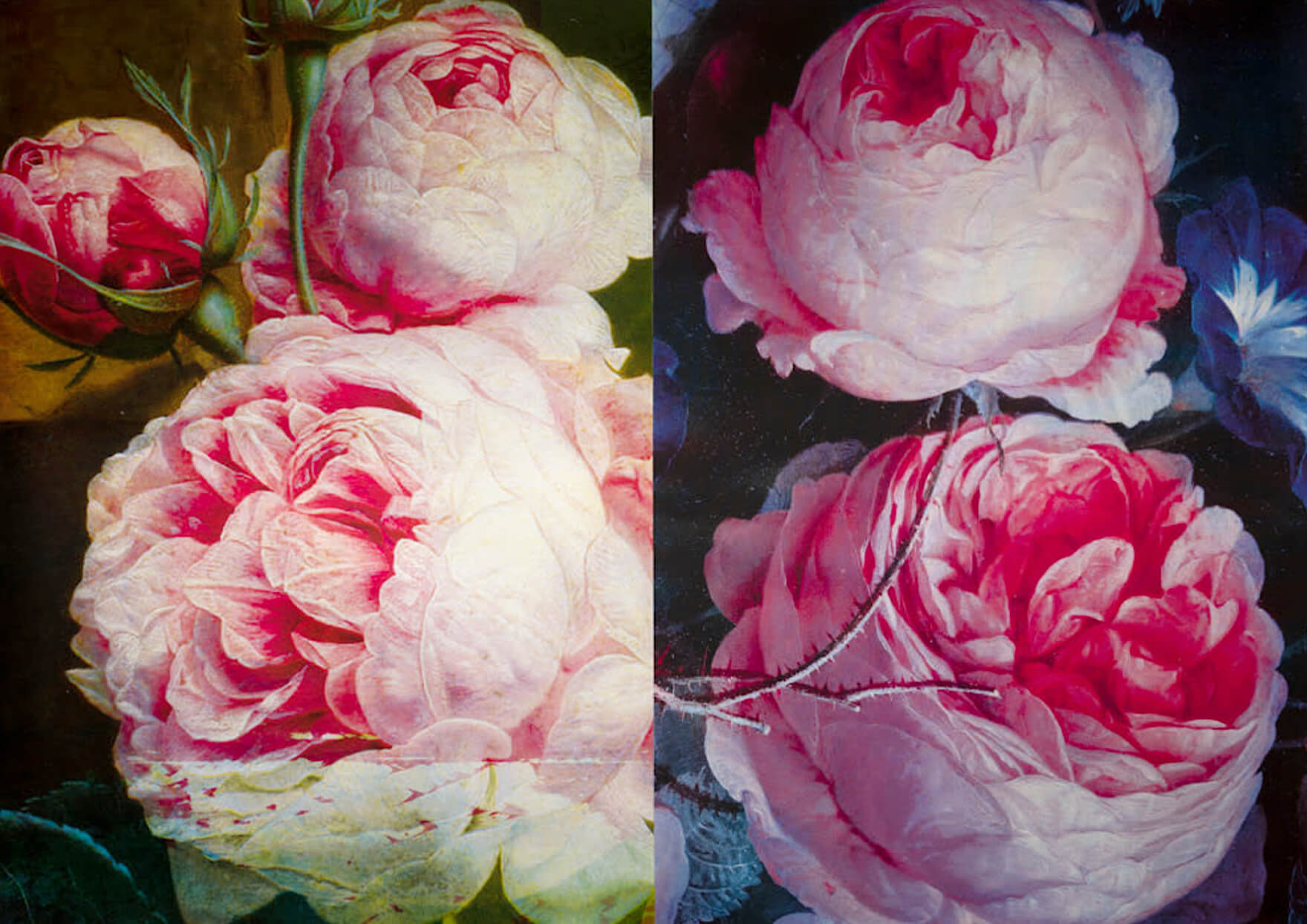 Russell Young flowers, Courtesy The White Room Gallery