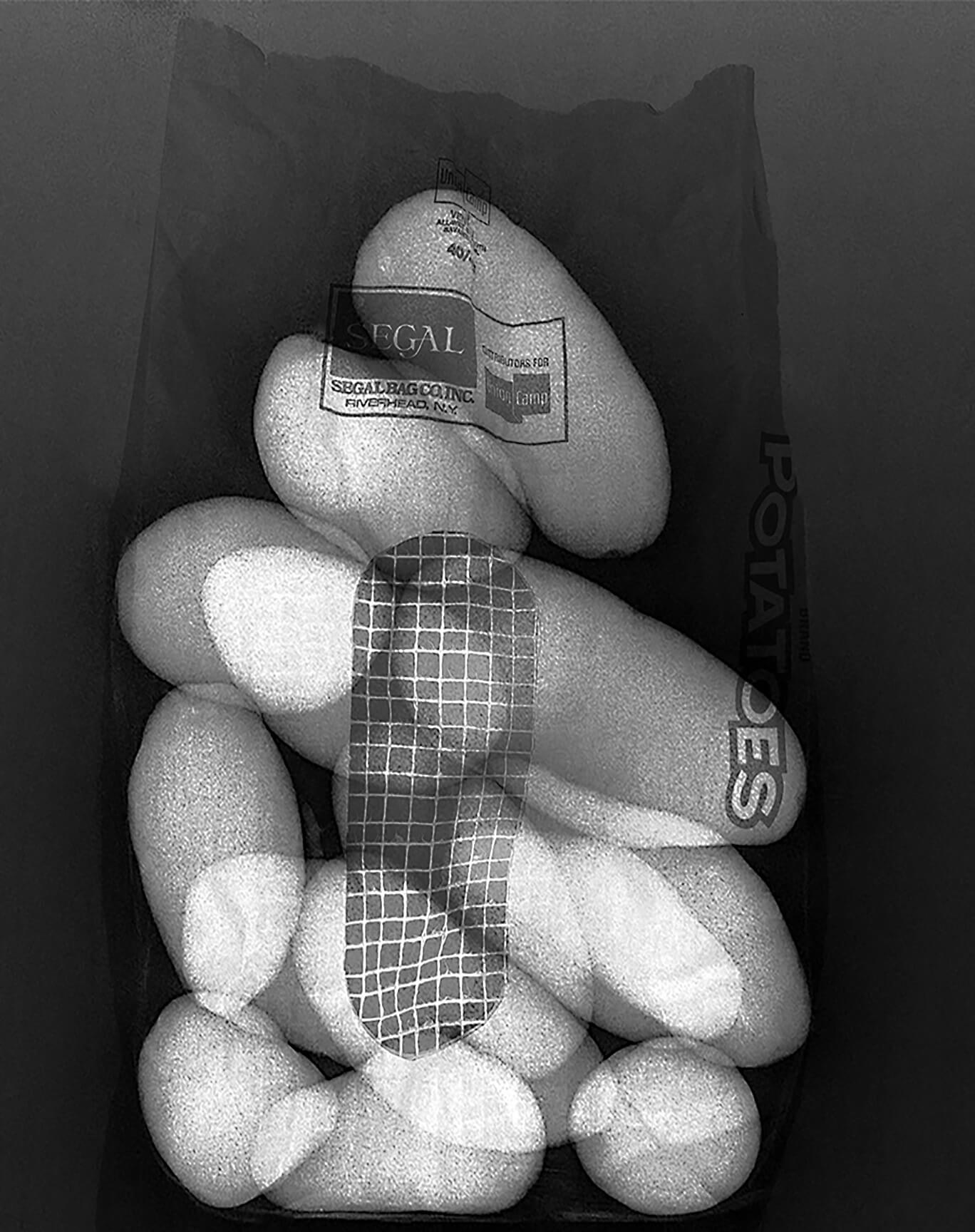 "Potato X-ray by Steve Miller for "I Say Potato" at the Bridgehampton Museum