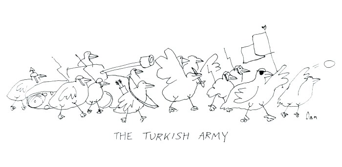 Plovers cartoon by Dan Rattiner
