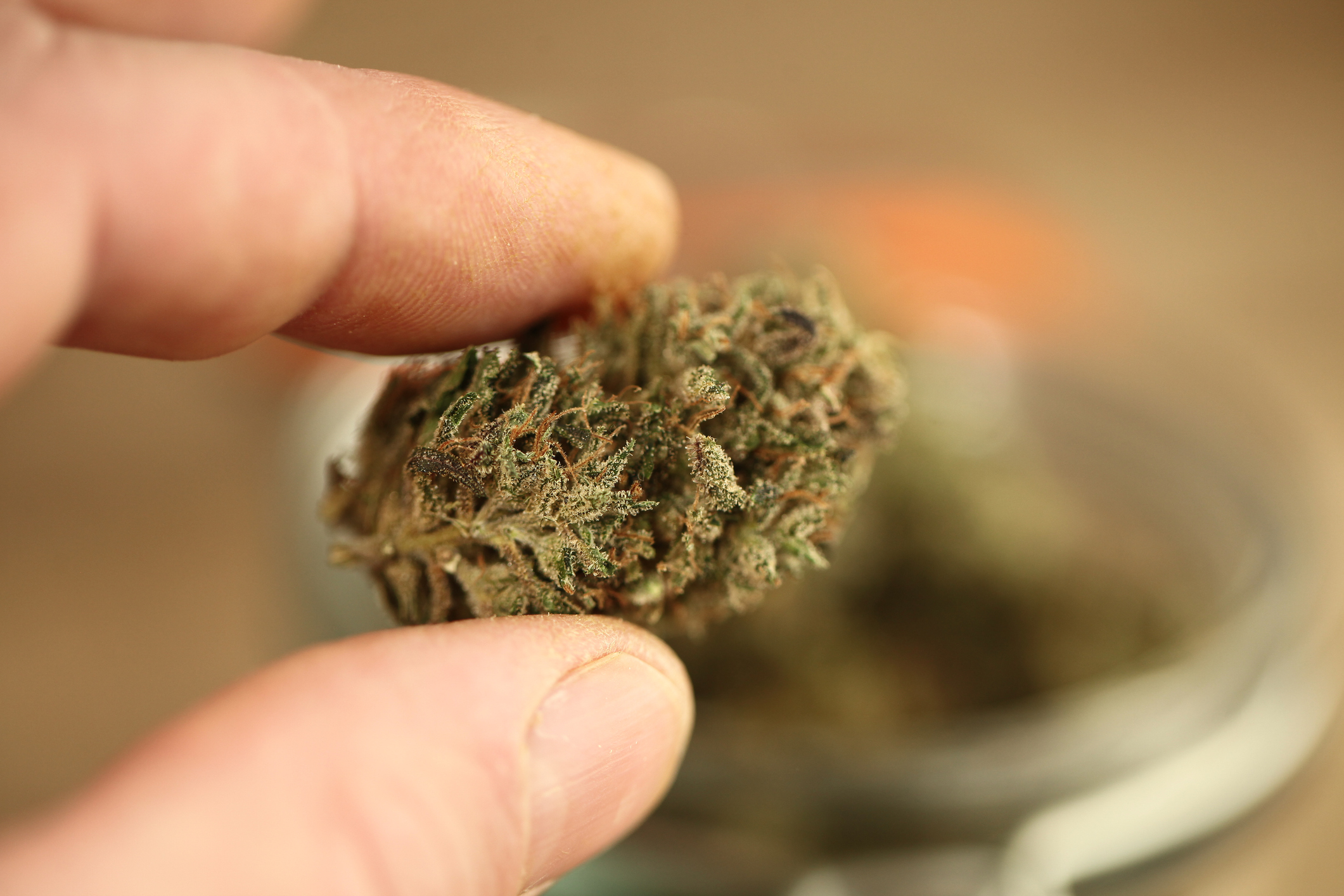 Certain cannabis flower products were recalled from East End Flower Farms in Manorville