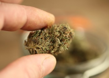 Certain cannabis flower products were recalled from East End Flower Farms in Manorville
