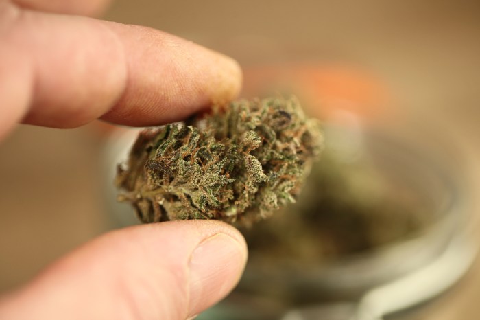 Certain cannabis flower products were recalled from East End Flower Farms in Manorville