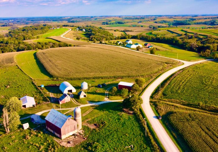 White Farm but not actually