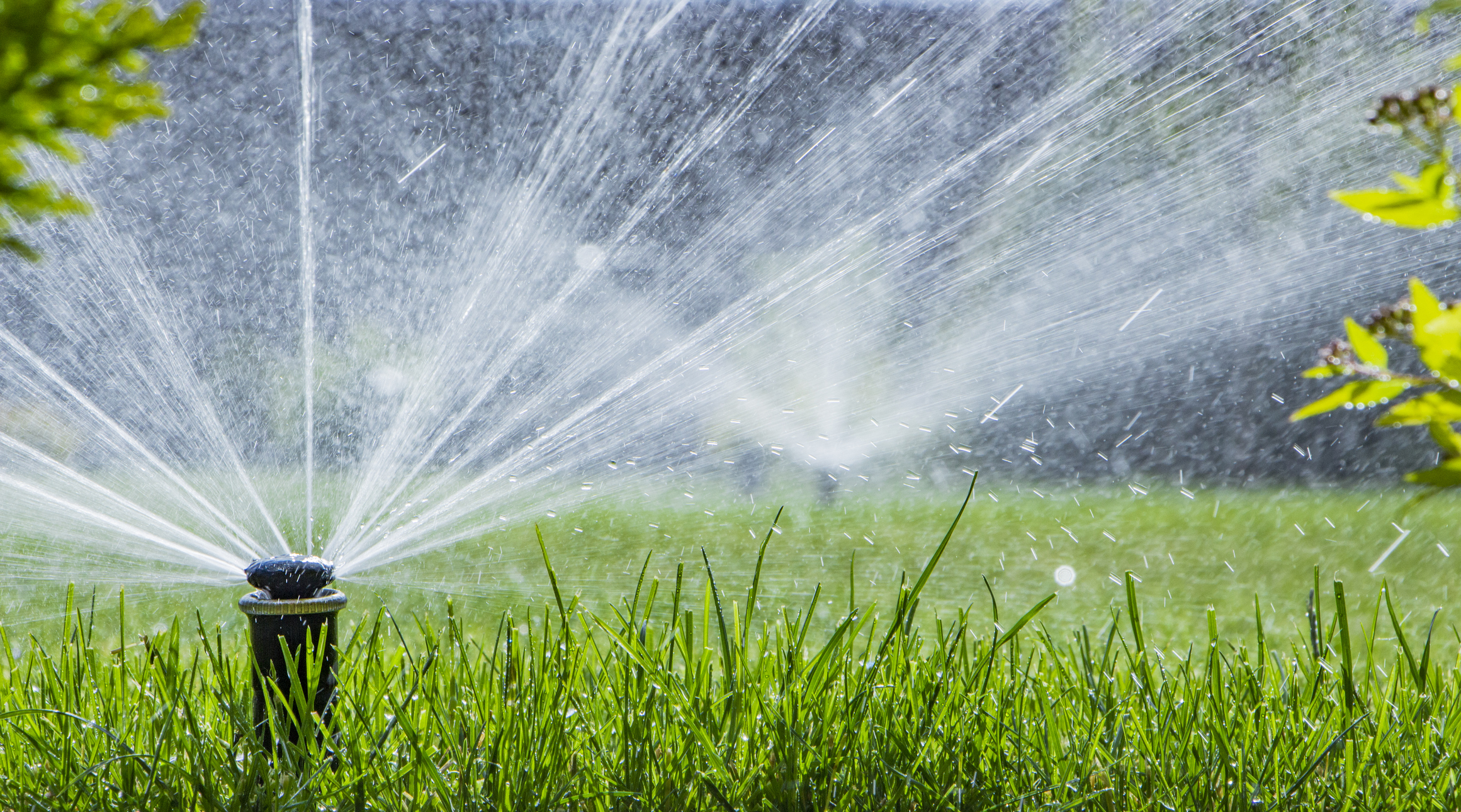 An automatic sprinkler irrigation system watering a lawn