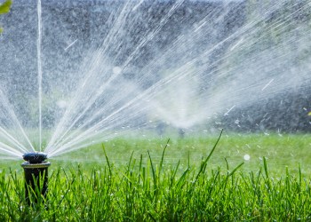 An automatic sprinkler irrigation system watering a lawn