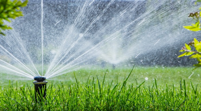 An automatic sprinkler irrigation system watering a lawn