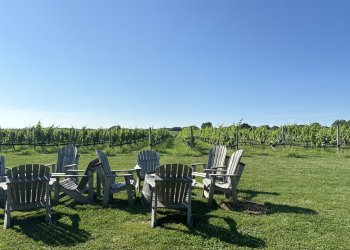 Palmer Vineyards on Sound Avenue North Fork
