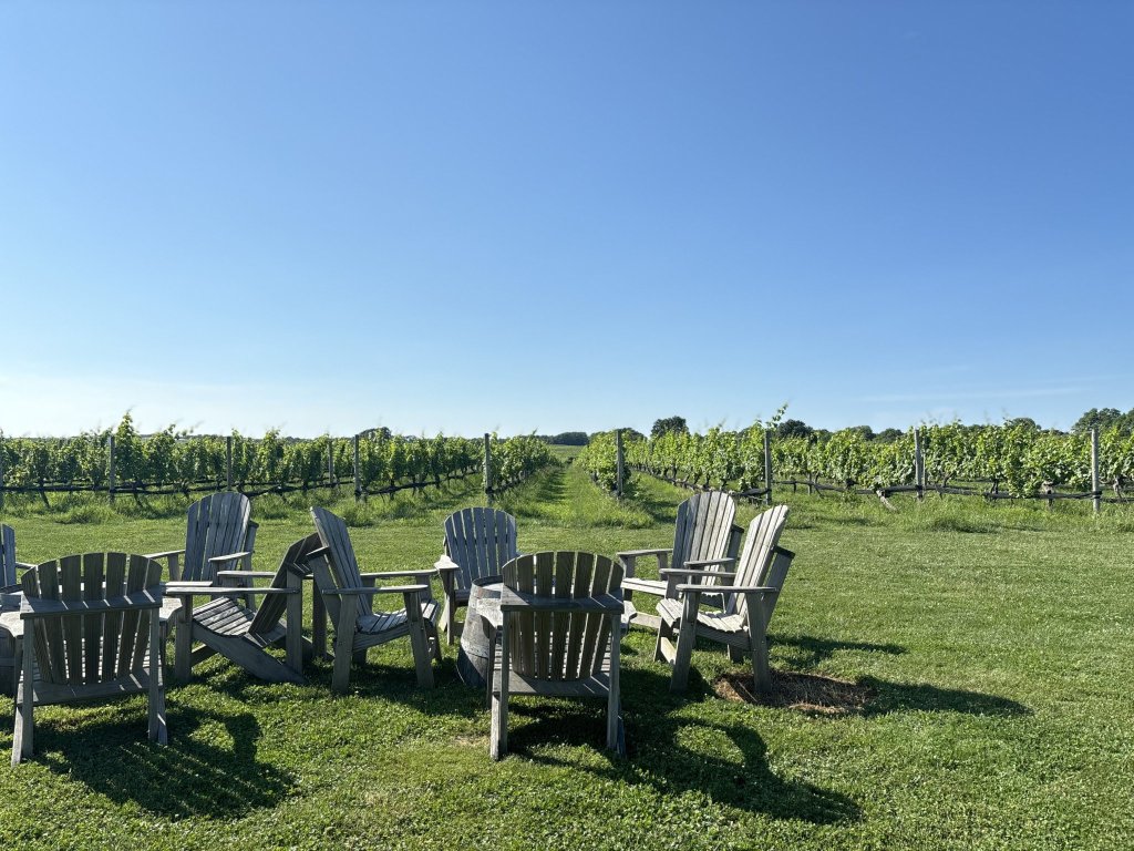 Palmer Vineyards on Sound Avenue North Fork