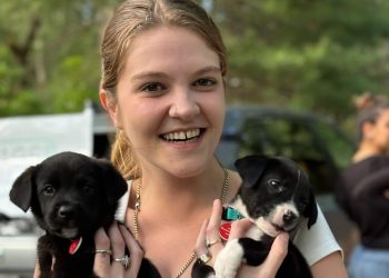 Wags & Walks is a Los Angeles-based animal rescue that is in the Hamptons for the summer.