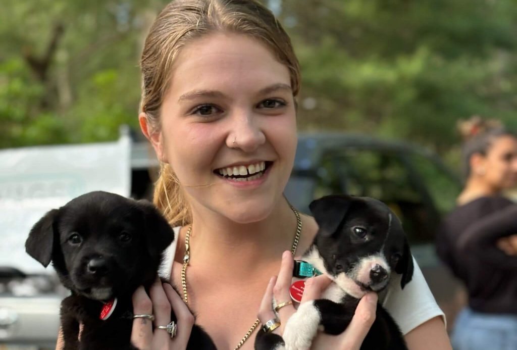 Wags & Walks is a Los Angeles-based animal rescue that is in the Hamptons for the summer.