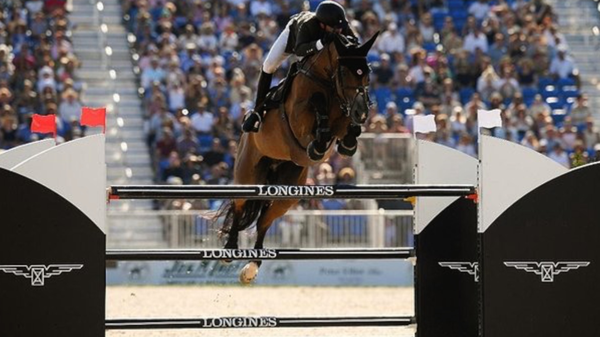 Daniel Bluman-Laddriano Hampton Classic Grand Prix