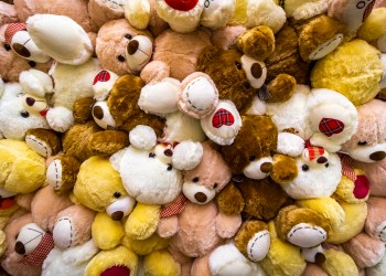 Visit beargivers.org to support this good cause.