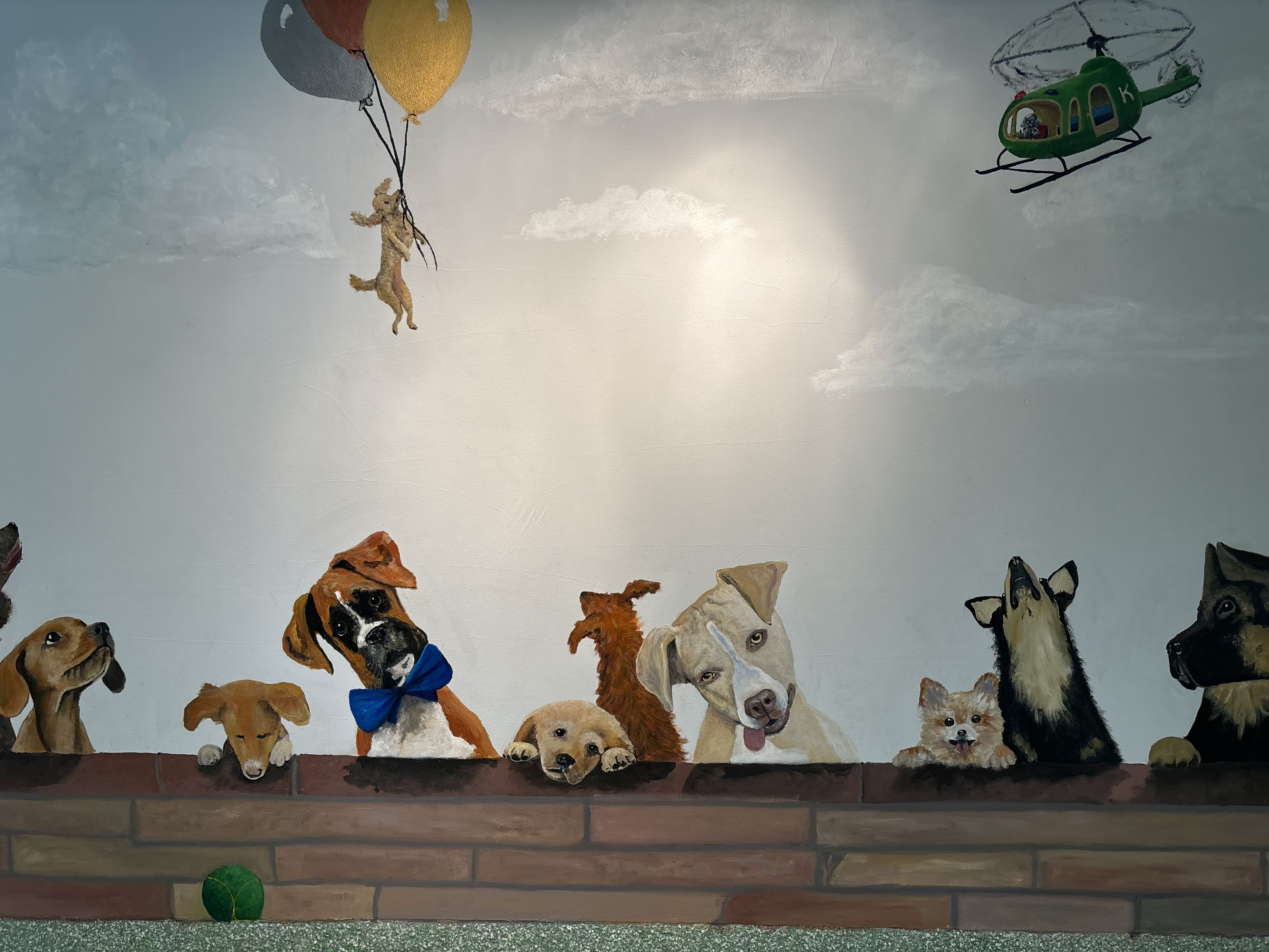 Artists made valuable contributions to the puppy rooms at Kent Animal Shelter, where visitors can meet dogs they may potentially adopt.