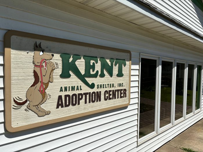 Kent animal shelter