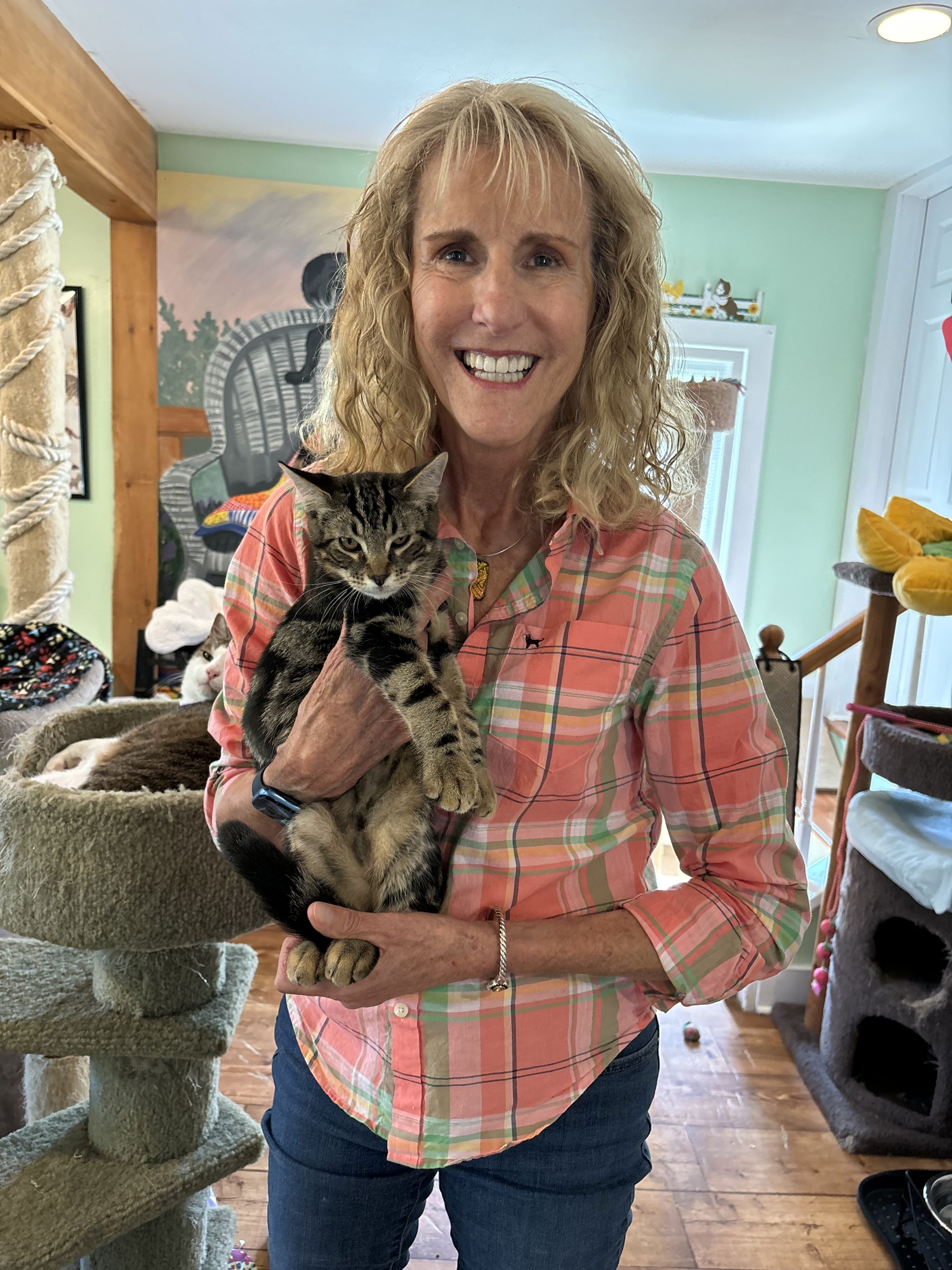Kent Animal Shelter executive director Pamela Green spoke with Dan's Papers about the renovations.