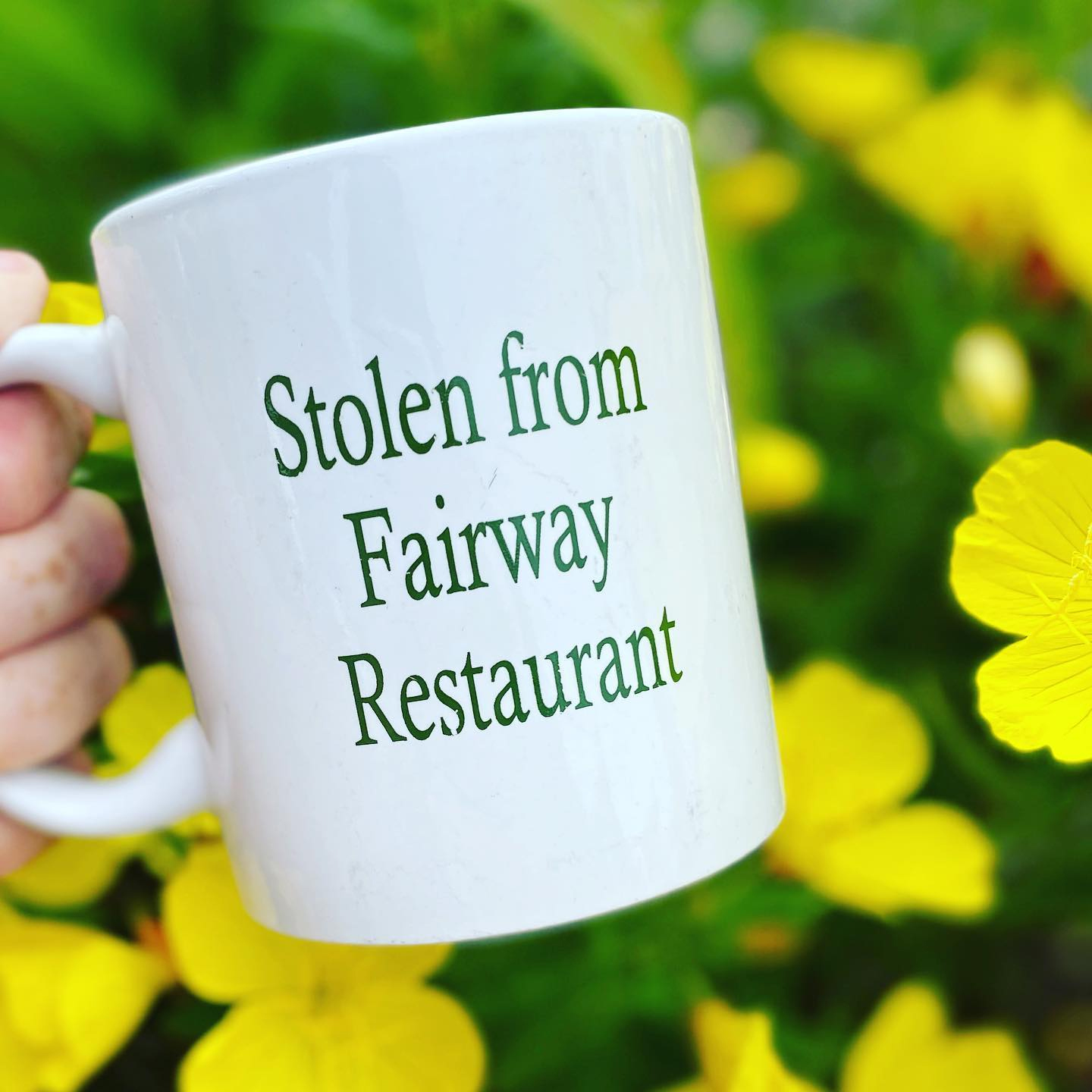 The famous "Stolen from Fairway Restaurant" mug, Poxabogue