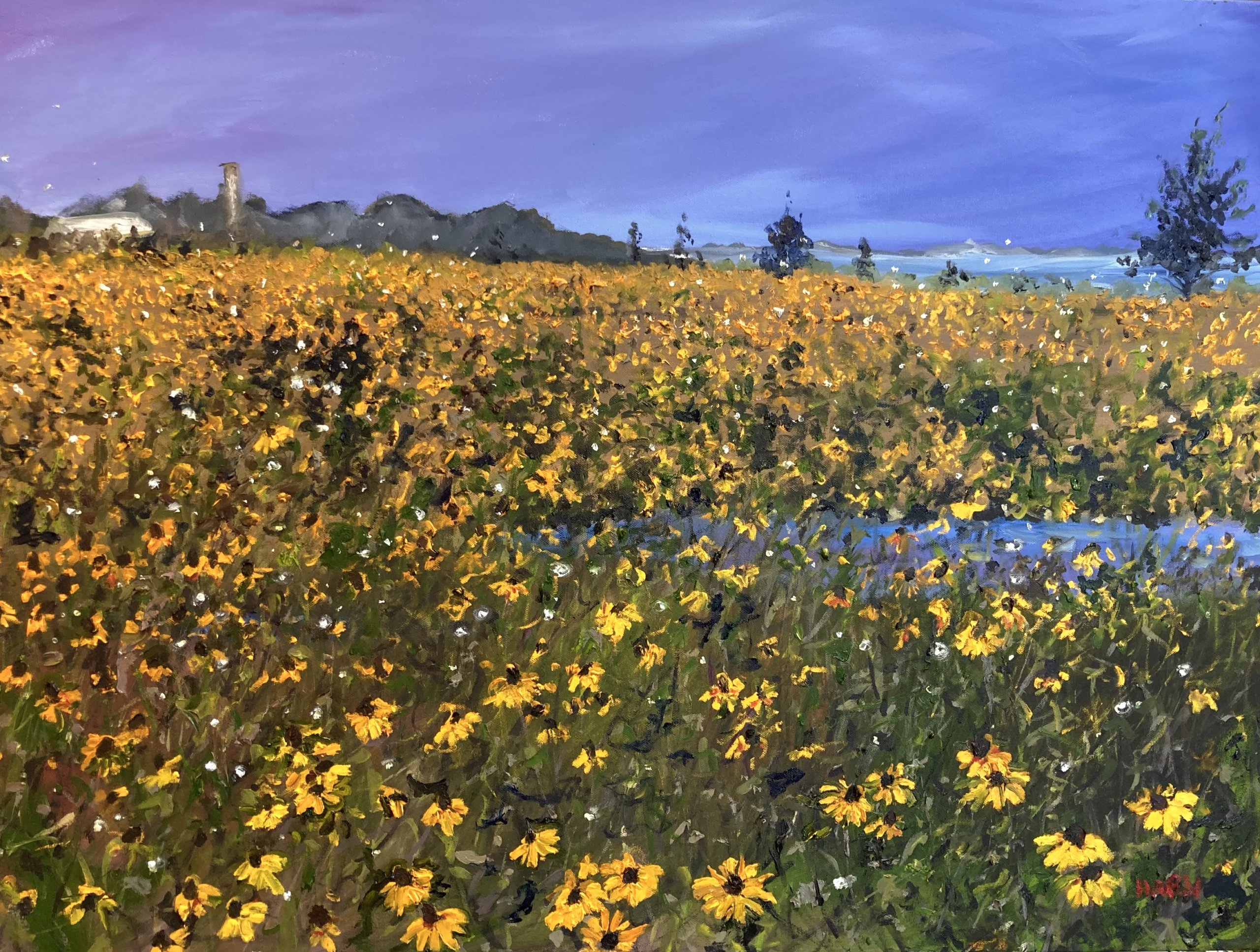 "Black-eyed Susans and Fireflies" by Isabelle Haran-Leonardi