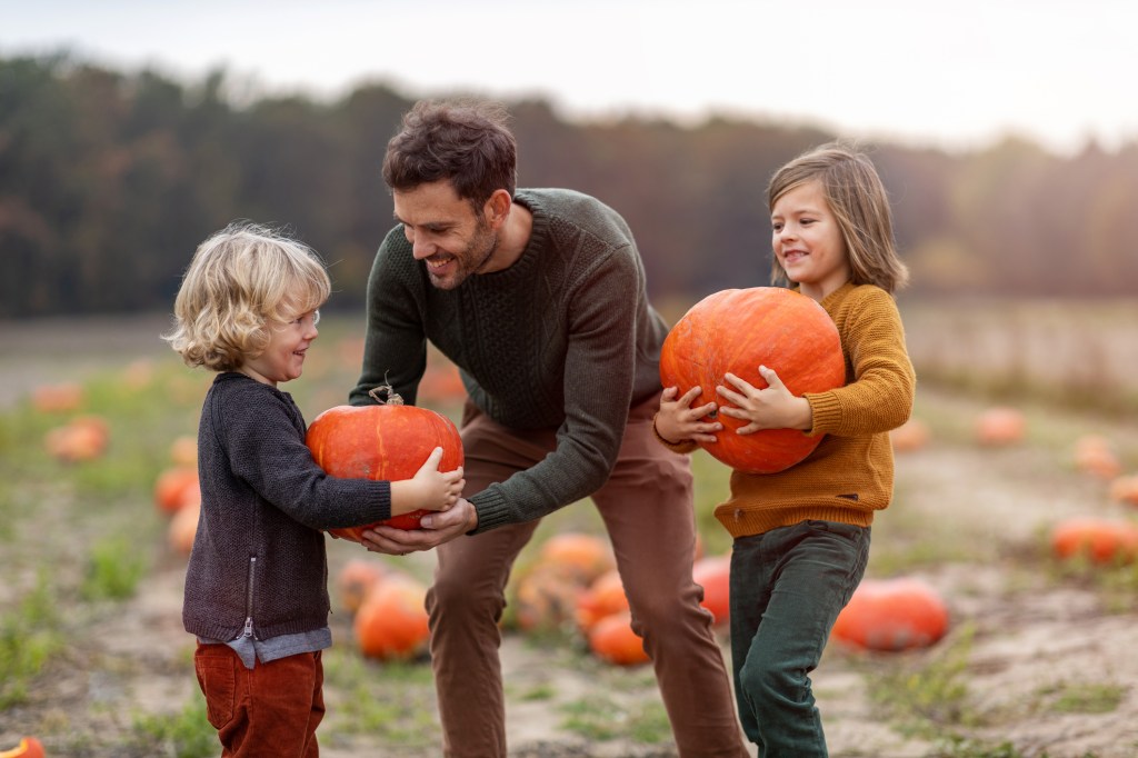 It's pumpkin picking season for kids and adults