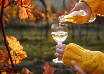 Celebrate the season with fall wines