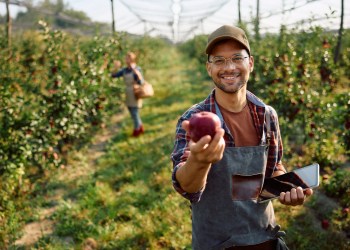 Check out the many North Fork apple picking spots in Dan's Papers.