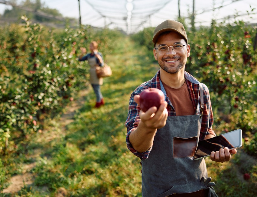 Check out the many North Fork apple picking spots in Dan's Papers.