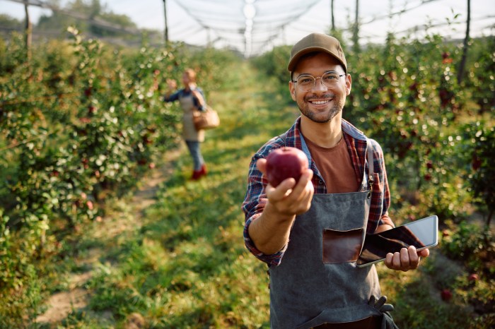 Check out the many North Fork apple picking spots in Dan's Papers.