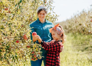 It's family apple picking season on the North Fork