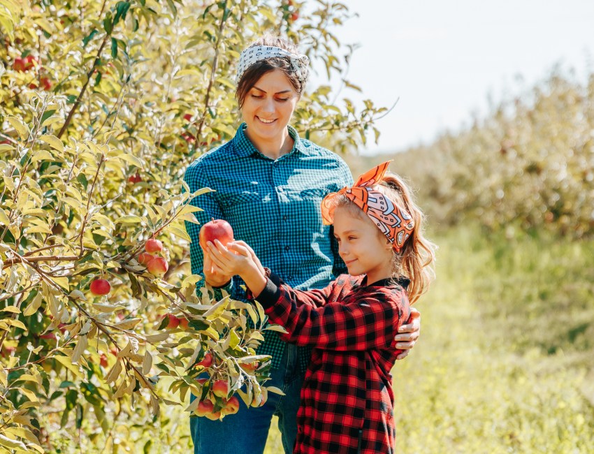 It's family apple picking season on the North Fork