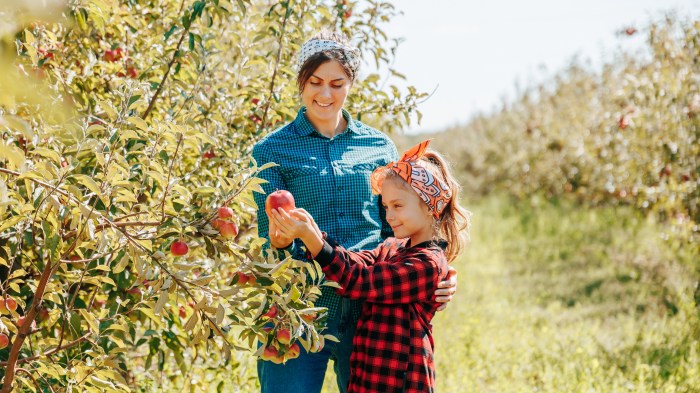 It's family apple picking season on the North Fork