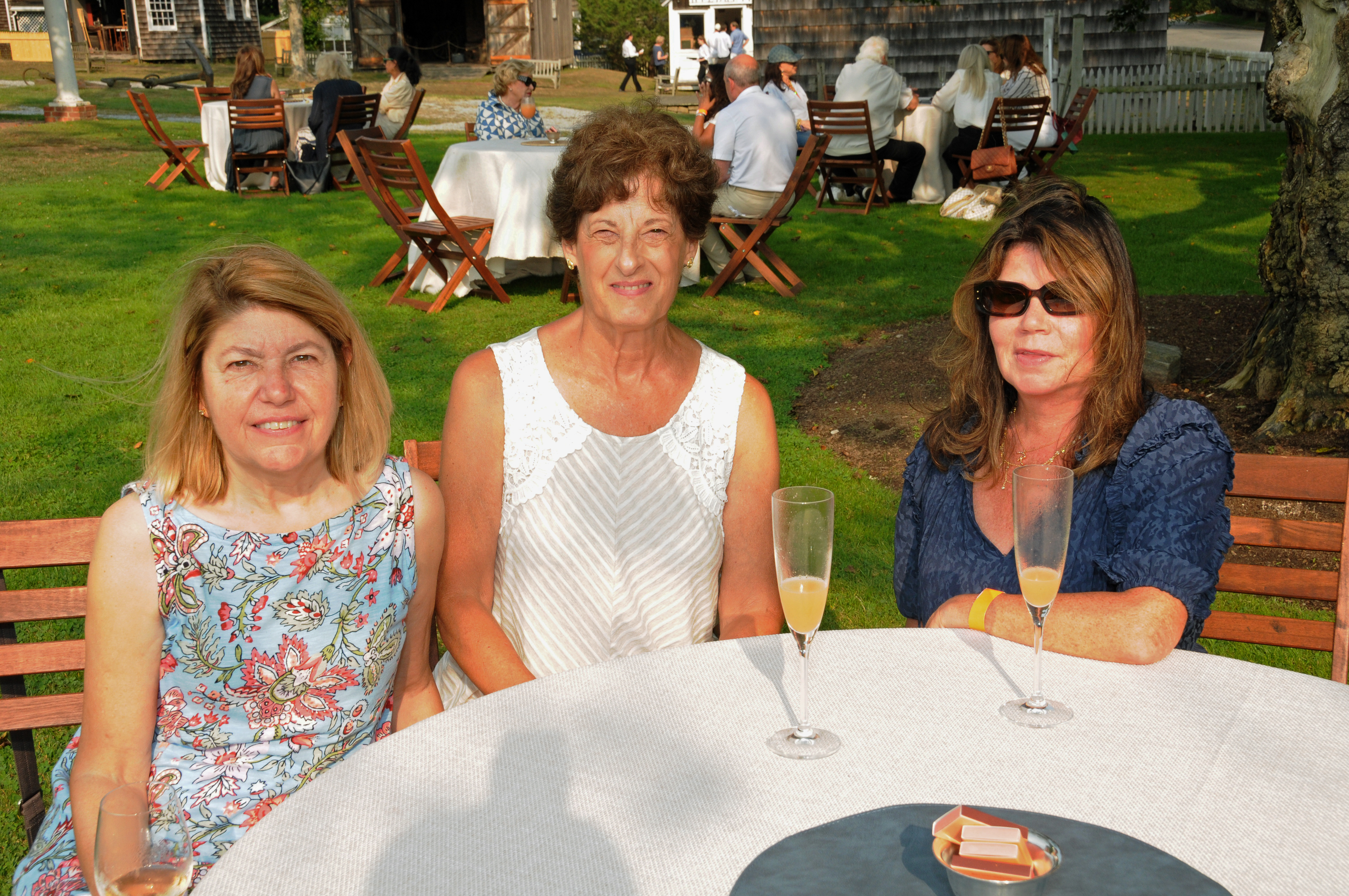 Linda Brando, Donna Zuzzolo, Rita Delano
