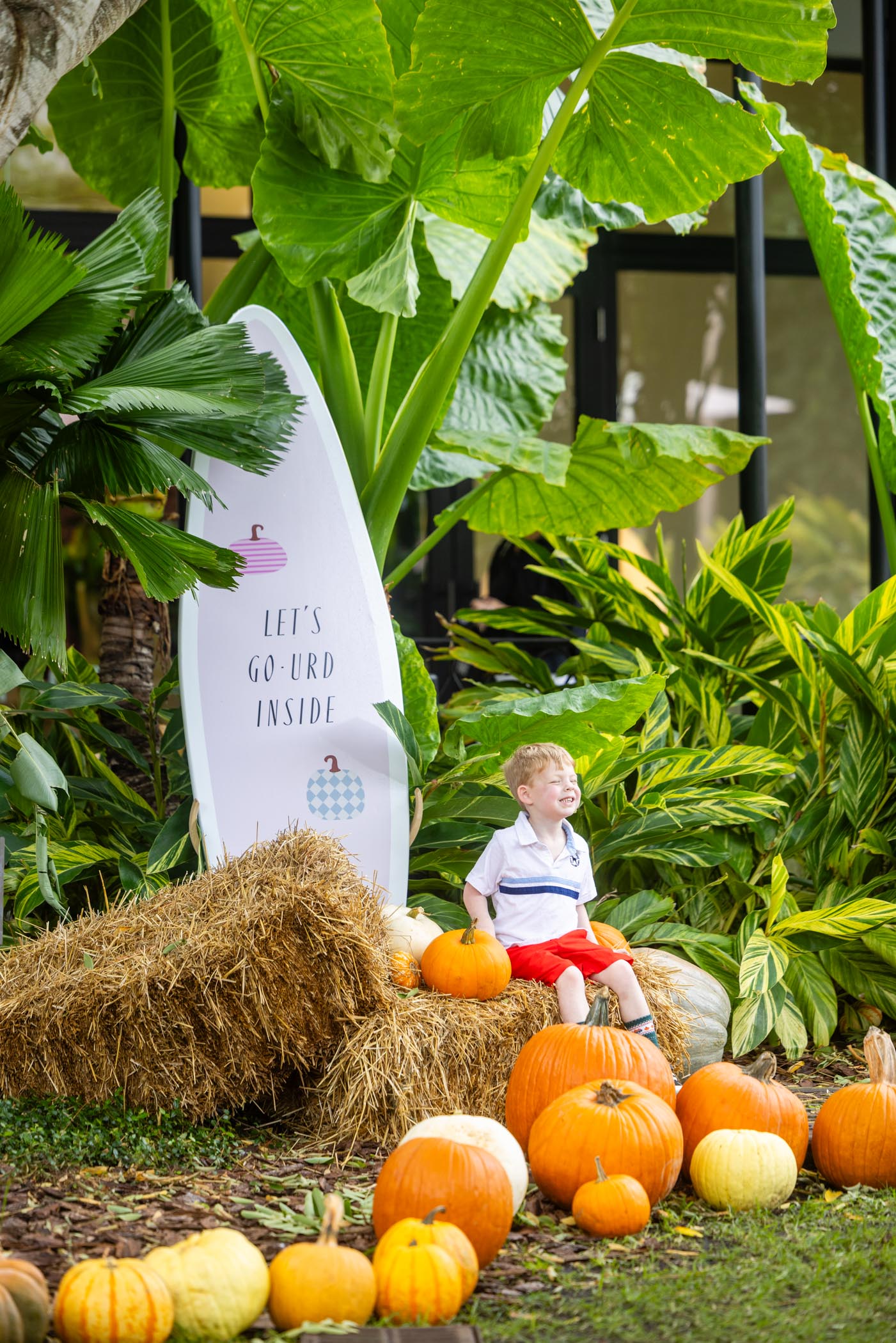 The Royal’s Annual Pop-Up Pumpkin Patch