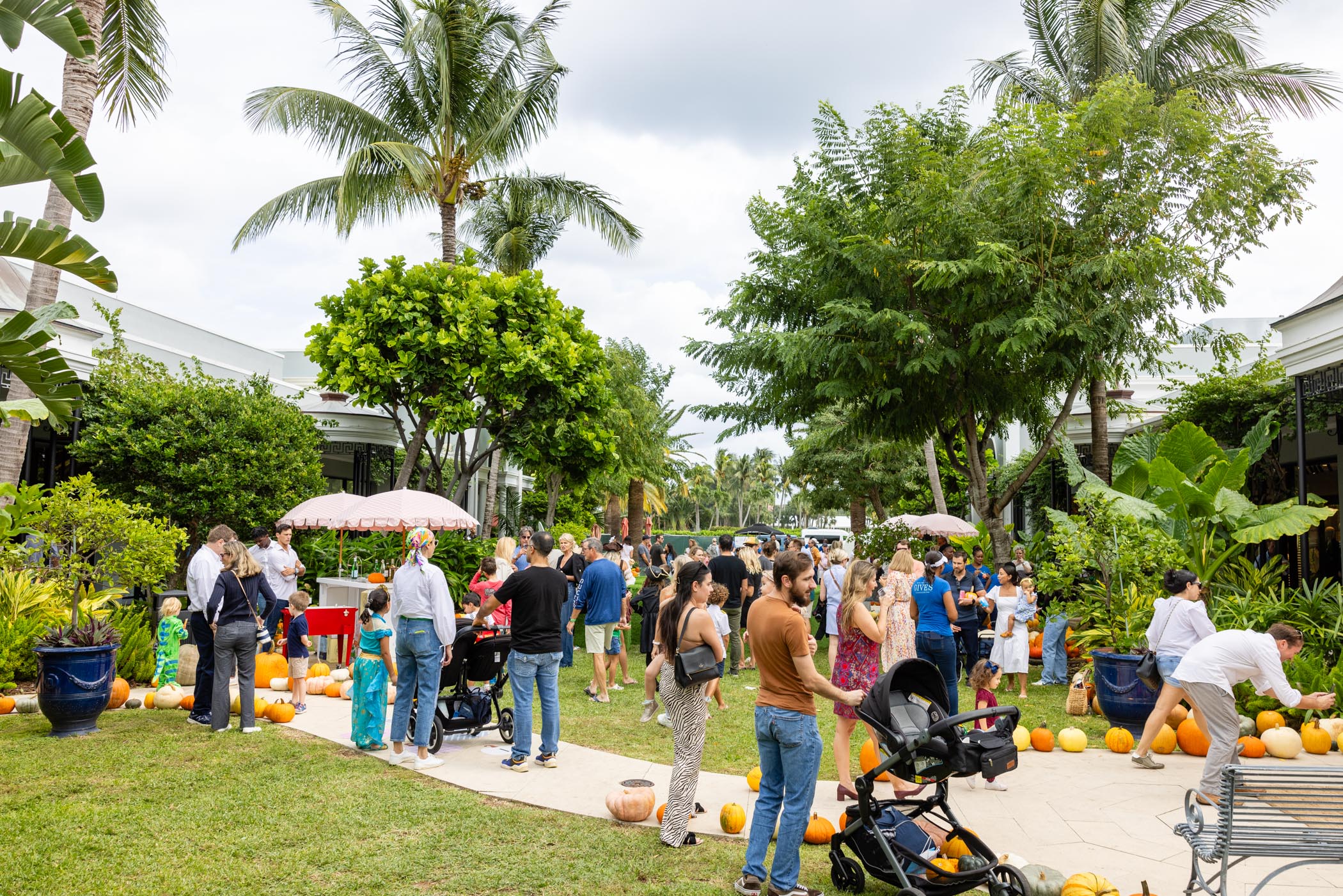 The Royal’s Annual Pop-Up Pumpkin Patch