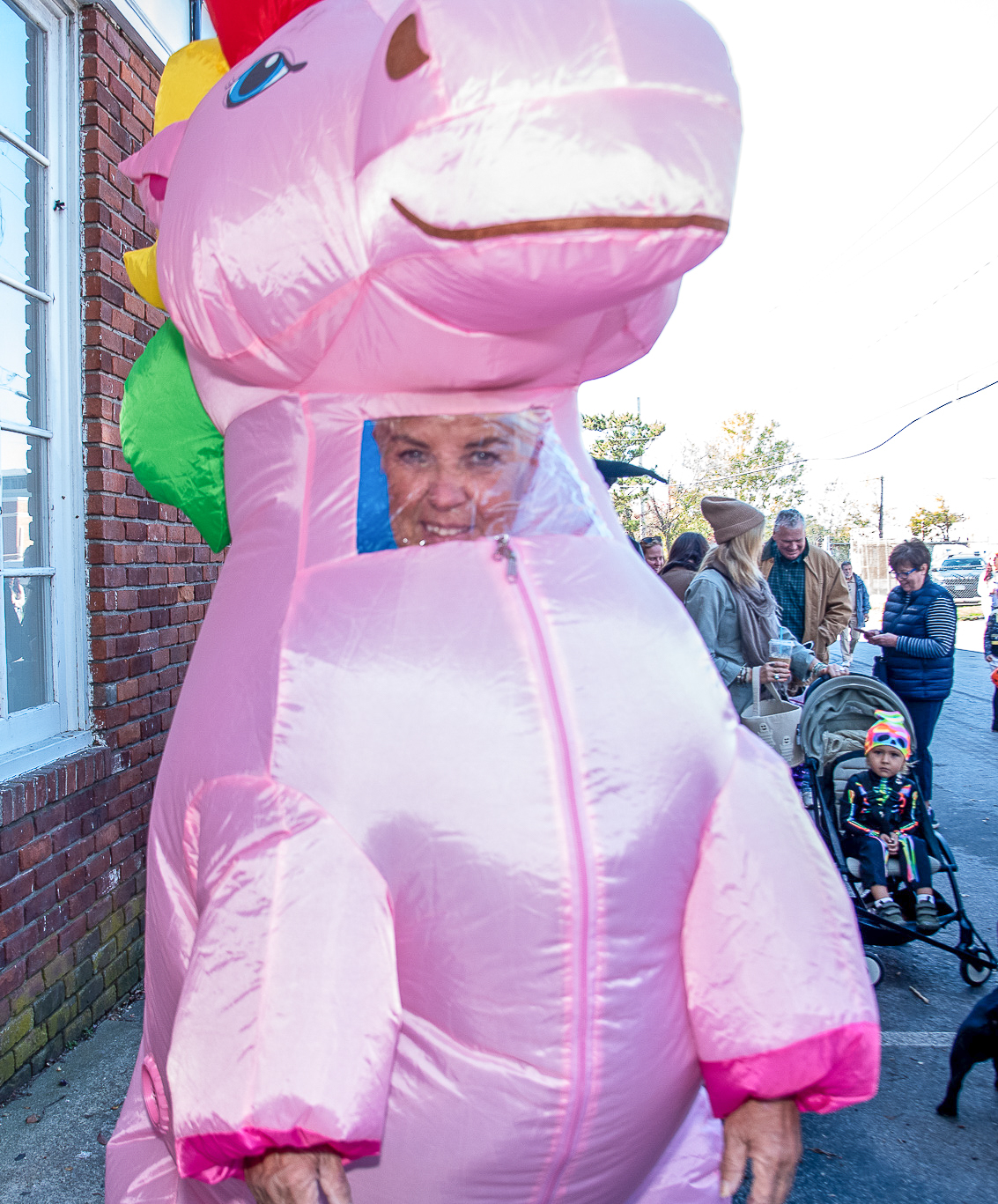 Danielle Crozetta the Unicorn