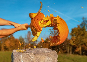 Kick off November with the Great Pumpxkin Smash at Hudson River Park in NYC