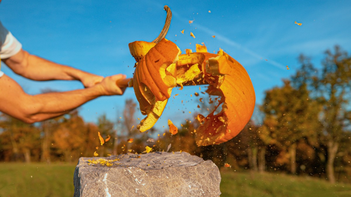 Kick off November with the Great Pumpxkin Smash at Hudson River Park in NYC