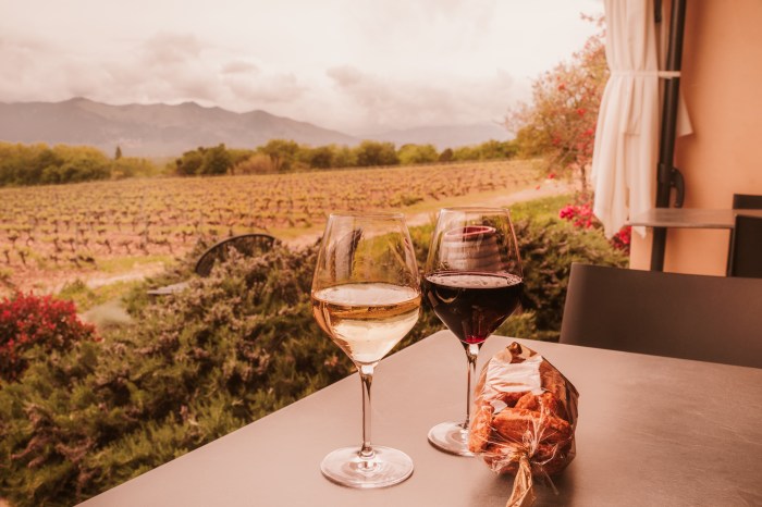 If you're on the North Fork for pumpkin or apple picking, don't forget – the North Fork is wine country.